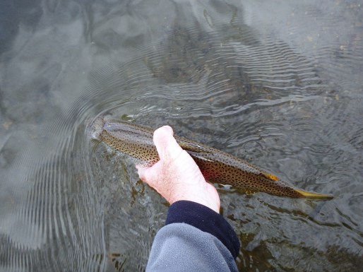 ???????????????????????????????