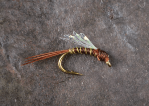 Fun little BWO emerger pattern.  The Girl Scout