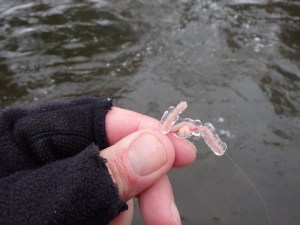 Yep, ther'es a worm under the ice....